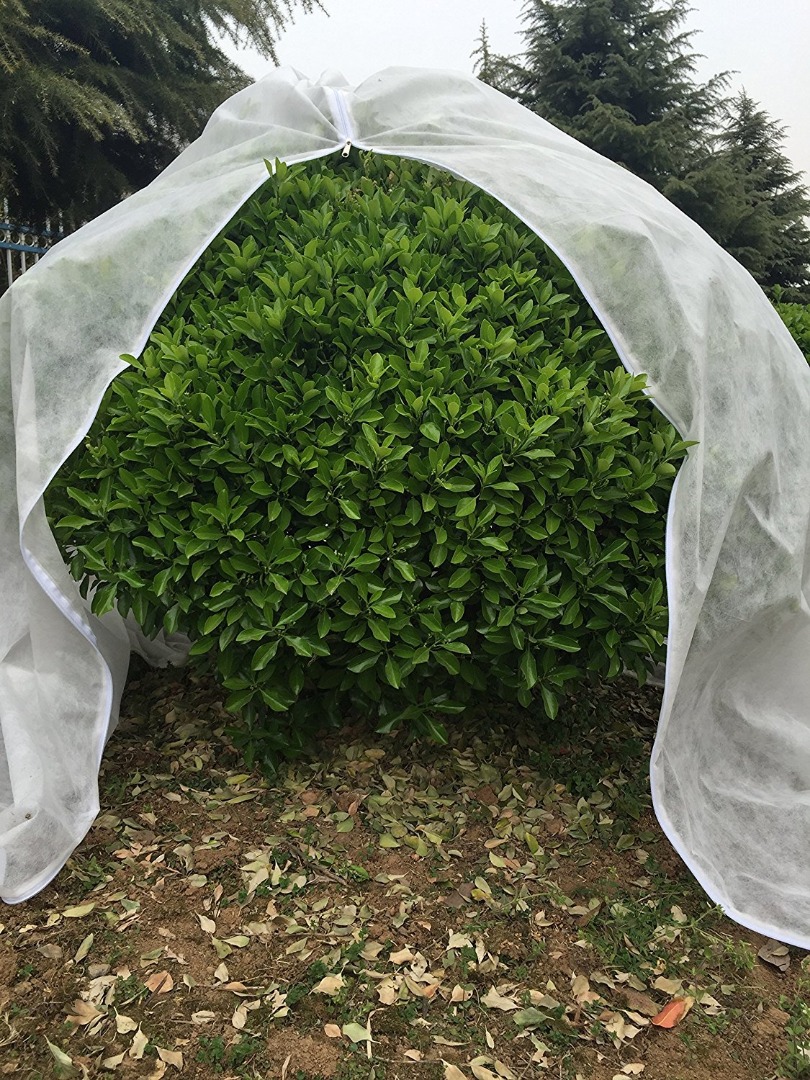 Agro Crop Cover